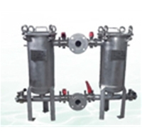 Double bag type filter